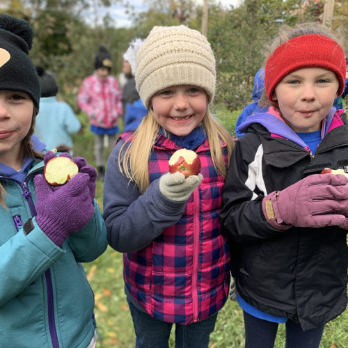 All Saints Catholic Church and School Capital Campaign in Berlin, Wisconsin